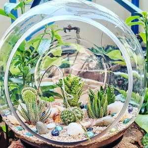 Terrarium Arrangement
