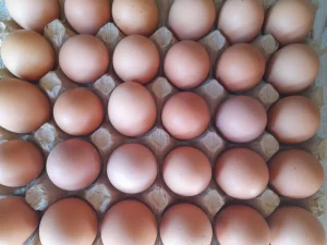Eggs (mazai)