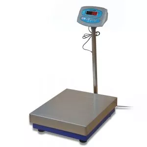 Industrial Platform Scale