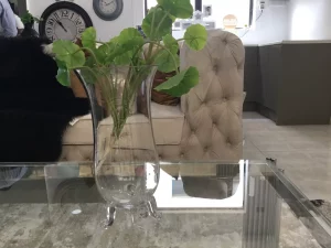 Clear Glass Vases