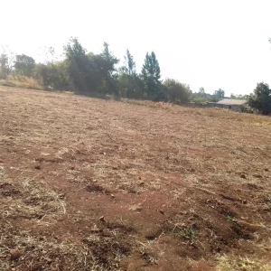 Banket  Low Density Stand