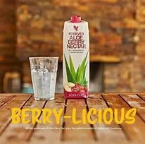 Enjoy  The Amazing Health Benefits Of The Aloe Berry Nectar
