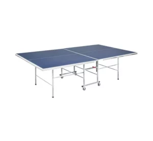 Victory Shoot Table Tennis