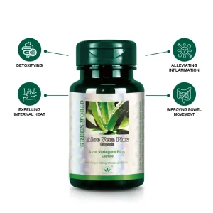 Aloe Vera Plus Capsule