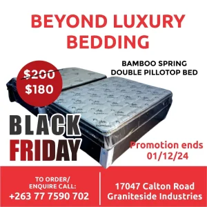 Black Friday Promotion!! Bamboo Spring Double Pillotop Bed
