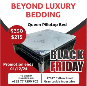 Black Friday Promotion!!!! Bamboo Spring Queen Pillotop Bed