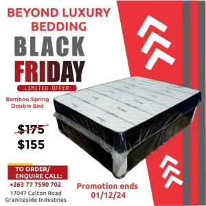 Black Friday Promotion!!! Bamboo Spring Double Bed