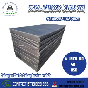 Single Matress 4 Inch High Density (waterproof)