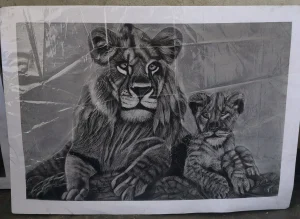 Mother Lion Drawing