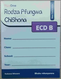 Plus-one, Ecd B, Rodza Pfungwa Chishona | Workbook