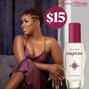 Avroy Shlain Inspire
