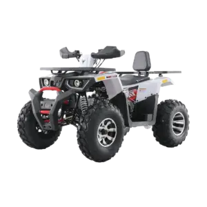 Atv 200cc Quad Bike