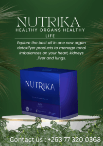 Skincare (Flyer) (1).png